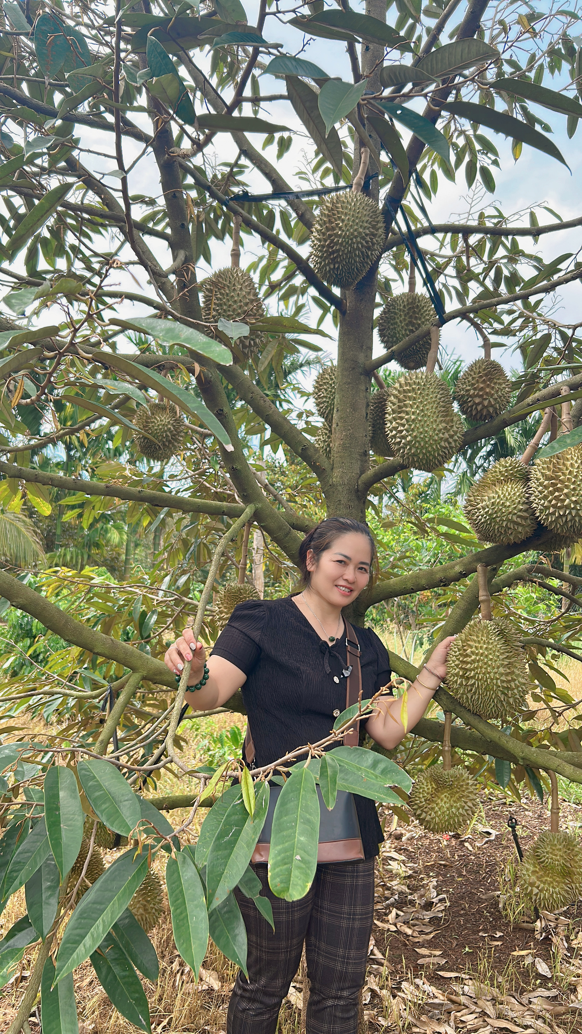 Đồng hành cùng bà con